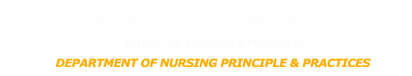 Department of Nursing Principle Practices